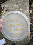 IMG_20250209_125744