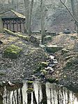 IMG_6597