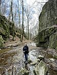 IMG_6585