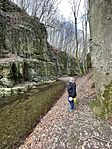 IMG_6580