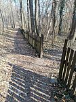 IMG_20250222_103816