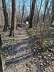 IMG_20250222_103821