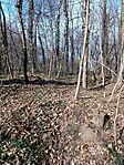 IMG_20250222_103829