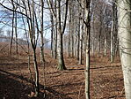 DSC00020