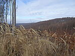 DSC00023