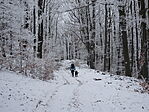 DSC09893