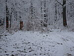 DSC09903