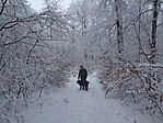 DSC09908