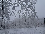 DSC09910