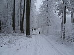 DSC09914