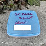 IMG_20250204_131207_L