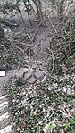 GCUGRI_20250202_115703