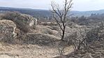 GCUGRI_20250202_123707