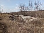 IMG_20250215_135504888_MFNR