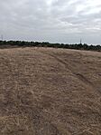GCTEFE_20250215_132446