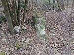 IMG_20250215_143246002_MFNR
