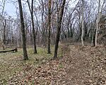 IMG_20250223_114652.jpg
