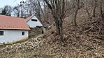 IMG_20250208_092502