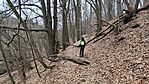 IMG_20250208_093028