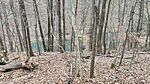 IMG_20250208_093413