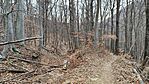 IMG_20250208_093809