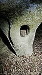 IMG_20250224_173442