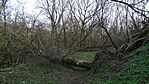 DSC01869