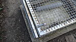 DSC02173