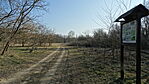 DSC02227