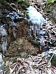 IMG_20250223_143603