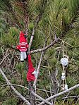 IMG_20250209_103328