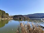 IMG_20250201_114456