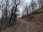IMG_20250202_113808