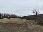 IMG_20250202_120713