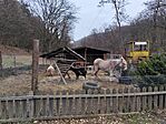 IMG_20250202_152909