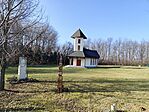 IMG_20250205_110822
