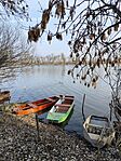 IMG_20250207_102135