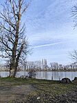 IMG_20250207_102249
