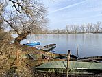 IMG_20250207_101916