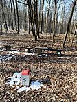 IMG_20250209_105304
