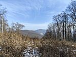 IMG_20250209_120442