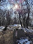 IMG_20250209_131234