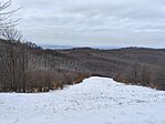 IMG_20250215_131123