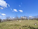 IMG_20250217_113519
