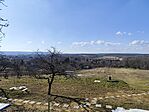 IMG_20250217_113054
