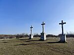 IMG_20250219_132100