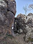 IMG_20250219_135645