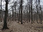 IMG_20250224_113325