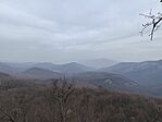 IMG_20250224_113445