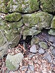IMG_20250224_135155